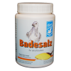 Backs - Badesalz - 600g (sól do kąpieli)