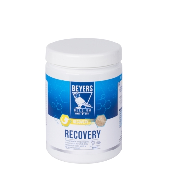 Beyers - Recovery - 600g (preparat białkowy) (termin ważności: 24.03.2024)