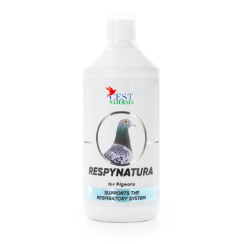 Cest Pharma - Respynatura - 1000ml (czyste drogi oddechowe)