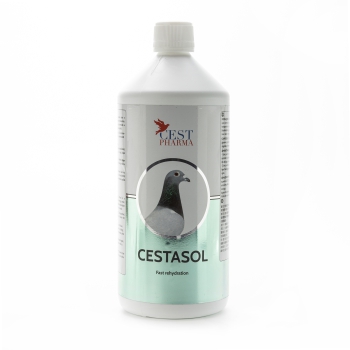 Cest Pharma - Cestasol - 250ml (Nawodnienie, szybka odbudowa) (data ważności 03.2023)