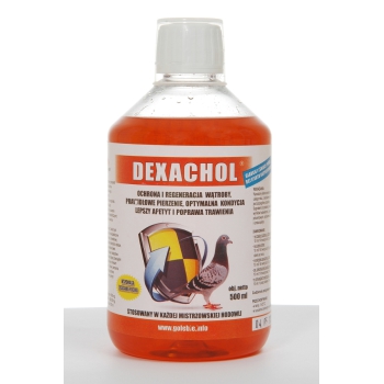 PATRON - Dexachol - 1l  (regeneracja wątroby)