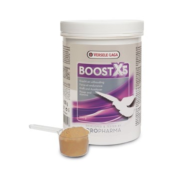 Versele Laga - Boost X5 - 500g (preparat poprawiający wytrzymałość fizyczną)