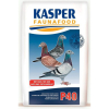 BEYERS - Kasper P40 - 20kg (krokiety wyczynowe)
