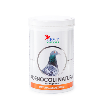 Cest Pharma - Adenocoli Natura - 400g (profilaktyka chorób, szczególnie przy infekcjach bakteryjnych)