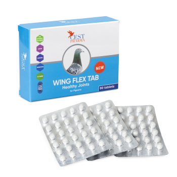 Cest Pharma -Wing FLEX - 90 tabletek (zdrowe stawy)
