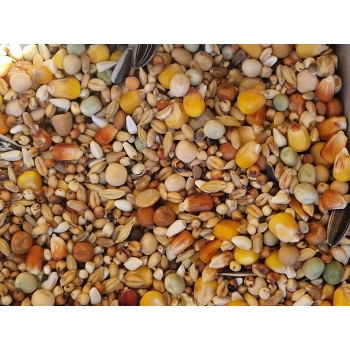 VANROBAEYS - nr 4526 (Mieszanka Pierzeniowa) - 20kg