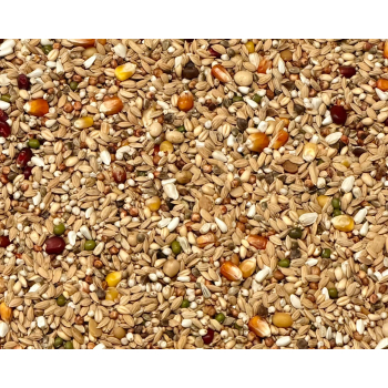 VANROBAEYS - Flight Force F1 - 20kg (FAZA I - regeneracja)