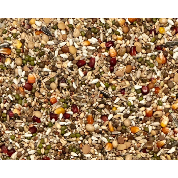 VANROBAEYS - Flight Force F2 - 20kg (FAZA II - przygotowanie do lotu)