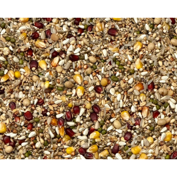 VANROBAEYS - Flight Force F3 - 20kg (FAZA III - energia na loty)