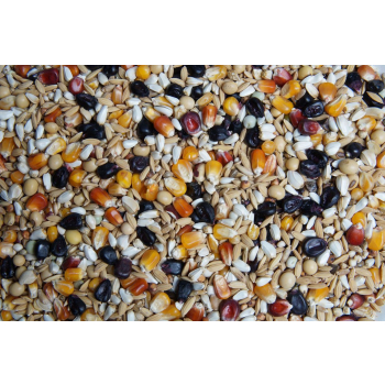 Mrowca - Special 80 (MR80c) - 20kg (z czarną kukurydzą)