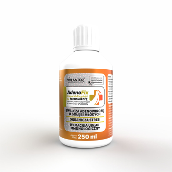 Volantor - AdenoFix – 250 ml (na adenowirozę gołębi młodych)