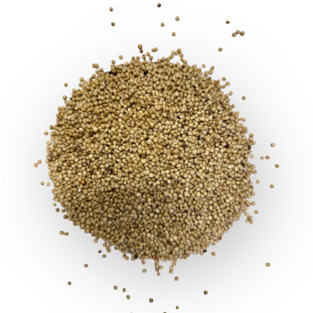 Dari - 1kg (dla gołębi i innych ptaków)