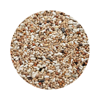 ProBio - DSE Dieta Super Energetyczna - 20kg